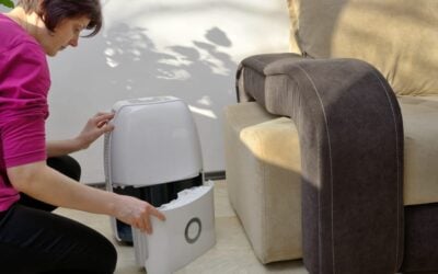Does a dehumidifier help with mold?