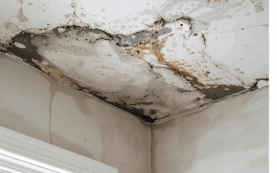 How to Prevent Mold on Your Bathroom Ceiling in San Diego County