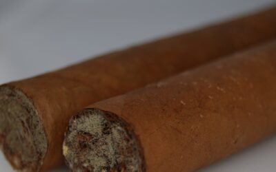 Mold in Tobacco, Cigars and Cigarettes